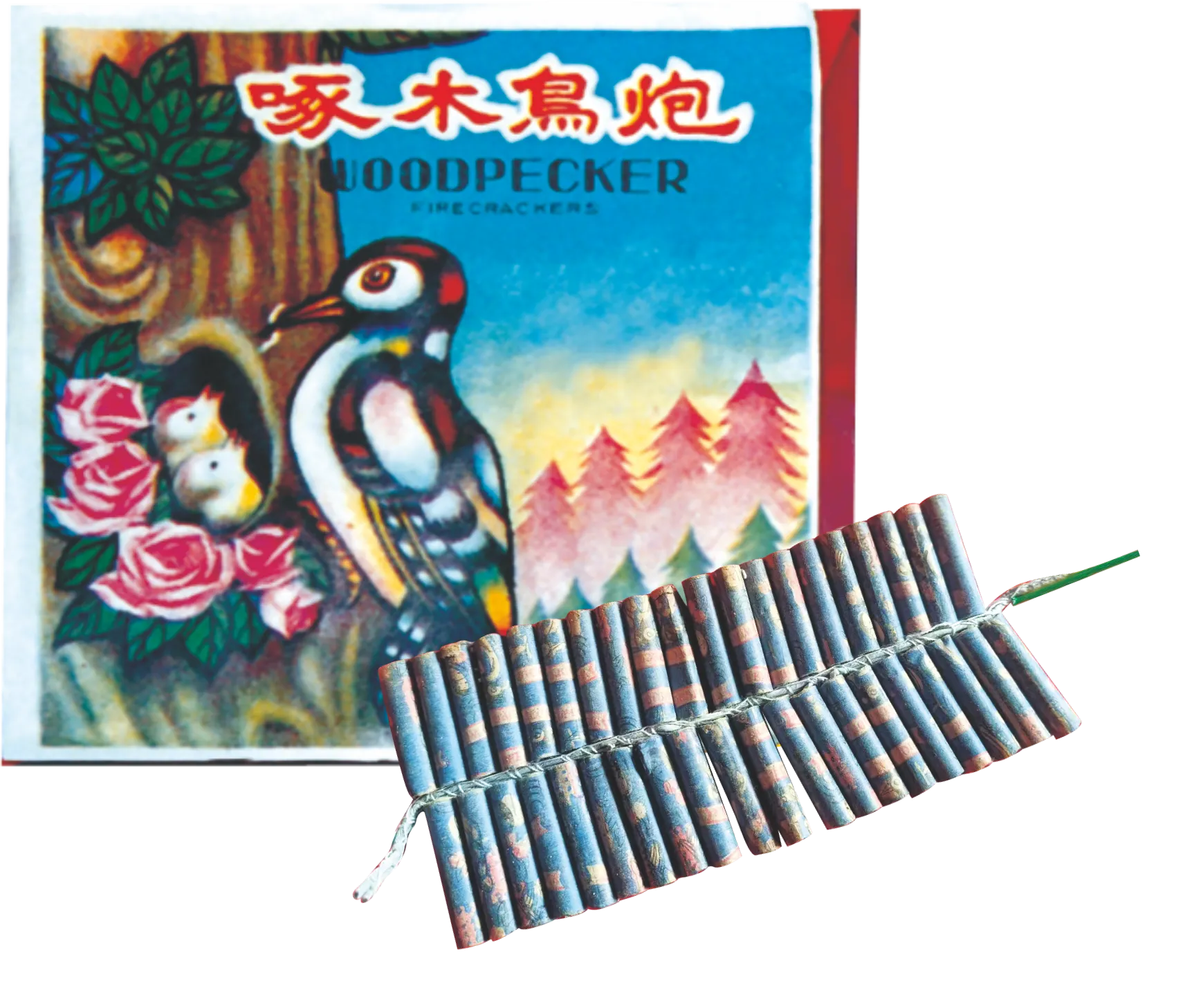 WOODPECKER